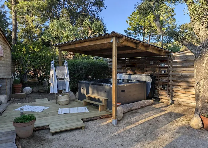 L'attellu Di Babbu *