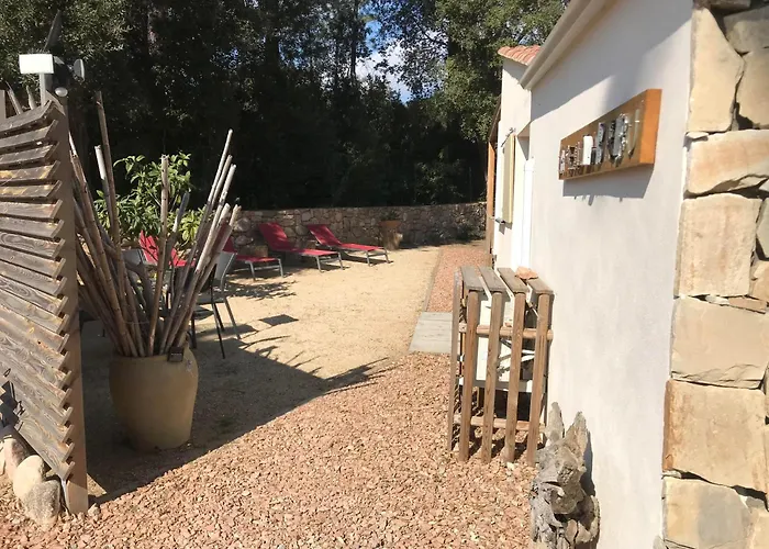 L'attellu Di Babbu *