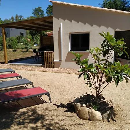 L'attellu Di Babbu *