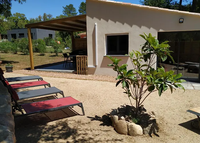 L'attellu Di Babbu *